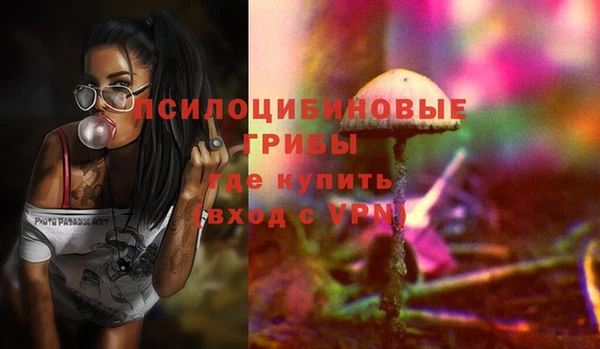 хмурый Бородино