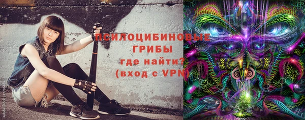 ешки Бронницы